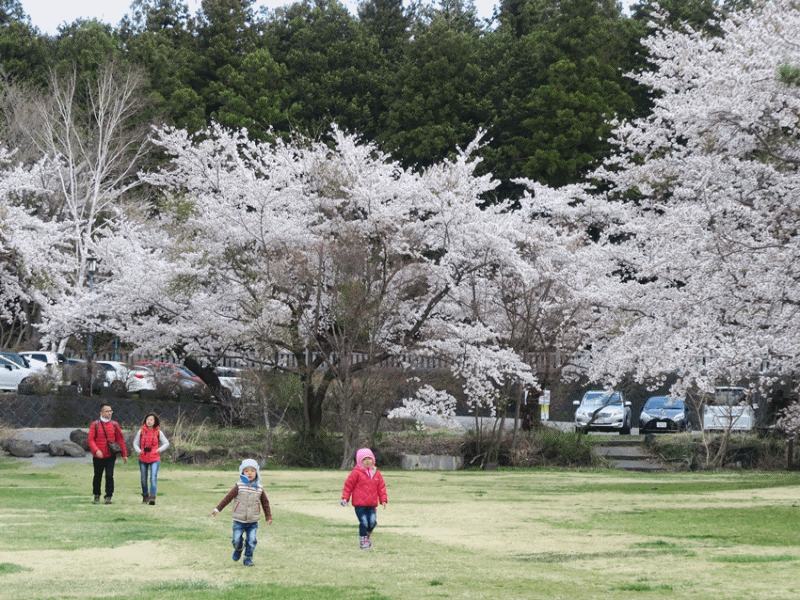 anigif.gif anigif.gif