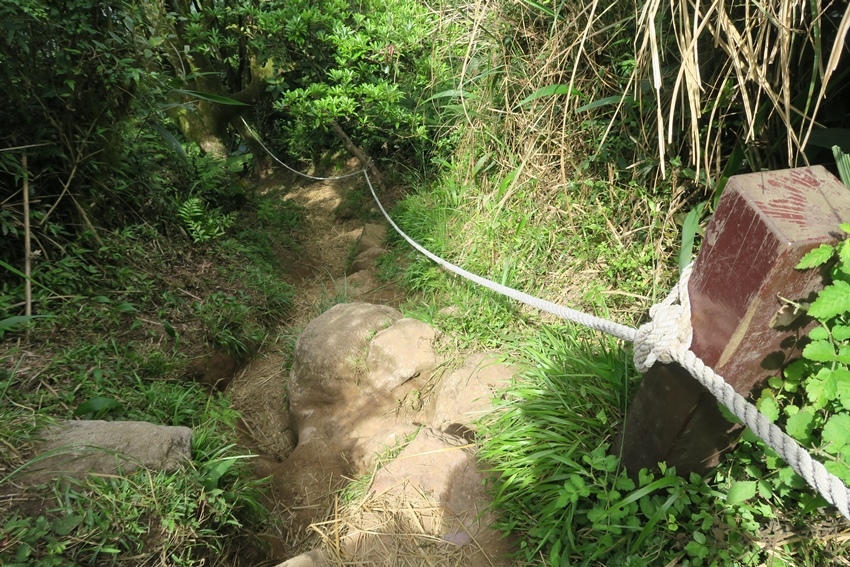 【新北】陽明山西段縱走-大屯主峰／南峰／西峰、向天山、面天山