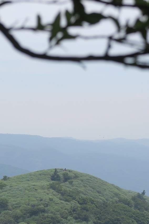 【新北】陽明山西段縱走-大屯主峰／南峰／西峰、向天山、面天山