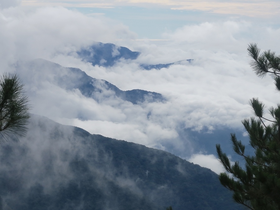 玉山前峰 (31).JPG