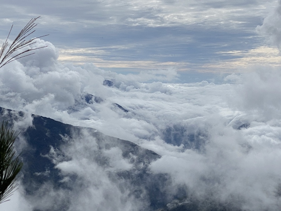 玉山前峰 (39).JPG