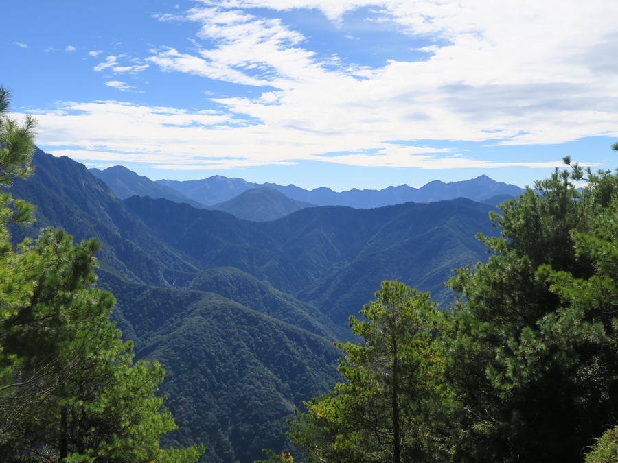 鹿林山-麟趾山 (34).JPG