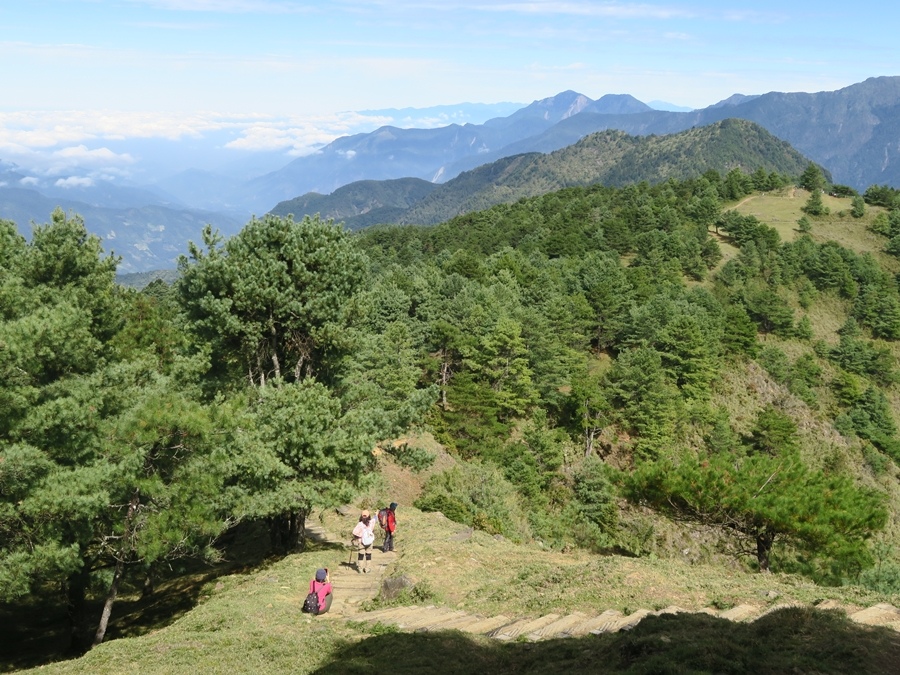 鹿林山-麟趾山 (38).JPG