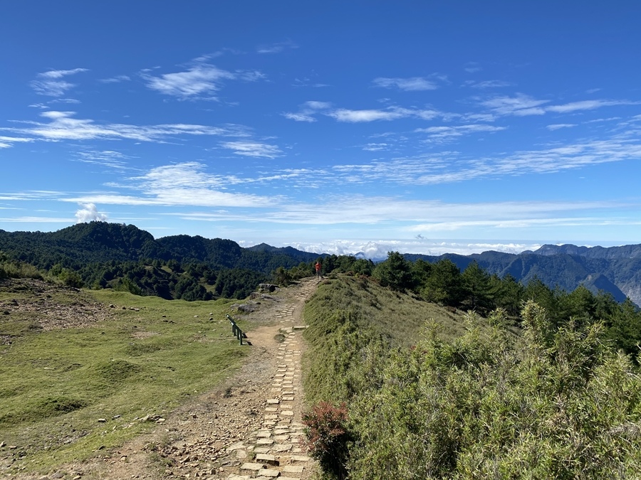 鹿林山-麟趾山 (53).JPG