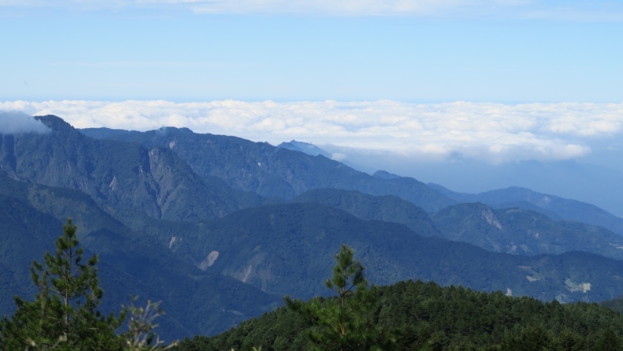 鹿林山-麟趾山 (61).JPG