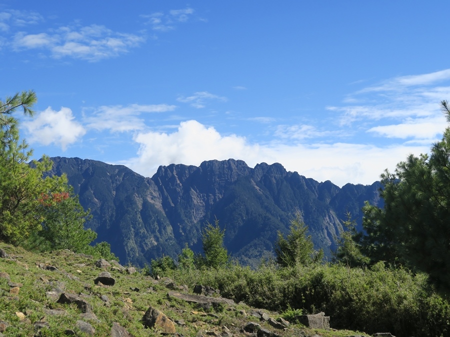 鹿林山-麟趾山 (62).JPG