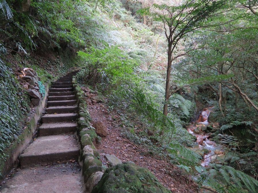 金包里大路(魚路古道) (4).JPG