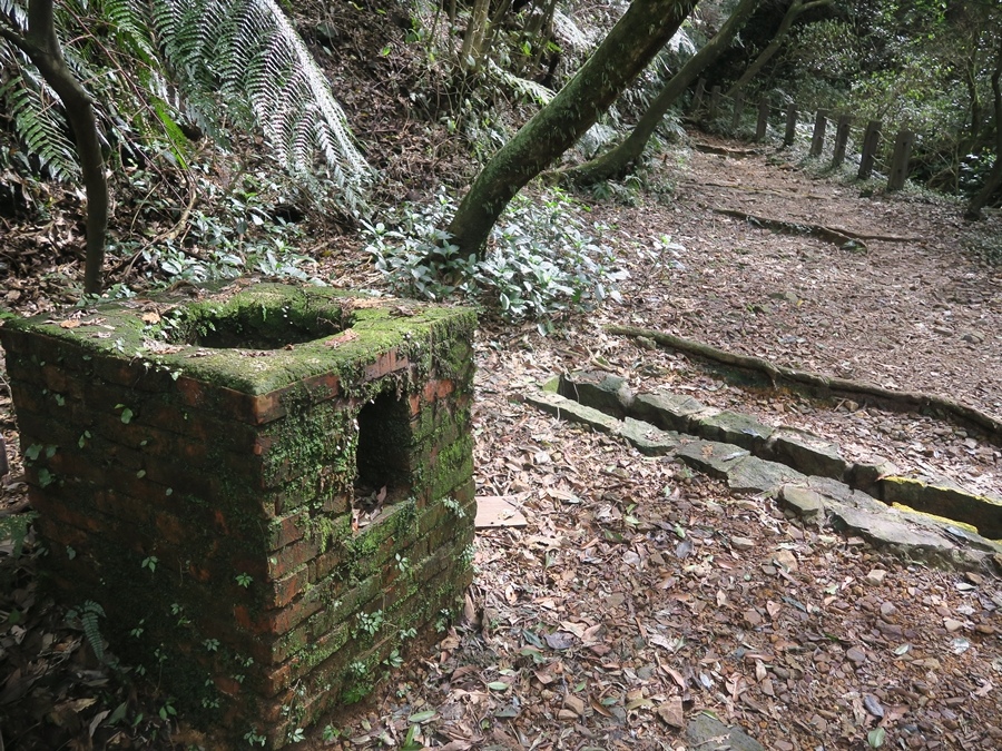 金包里大路(魚路古道) (68).JPG