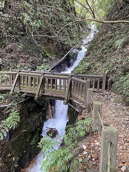 金包里大路(魚路古道) (66).JPG