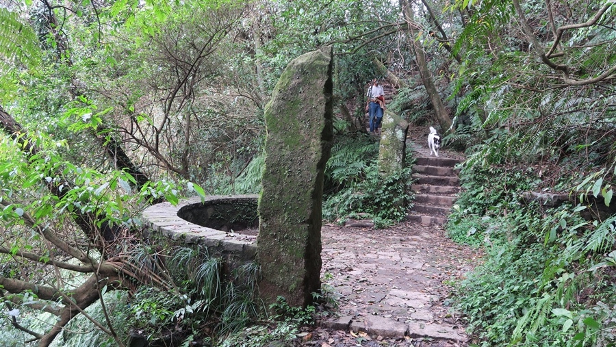 金包里大路(魚路古道) (65).JPG