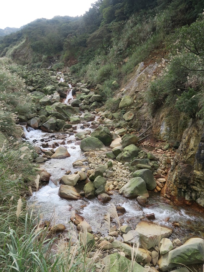 金包里大路(魚路古道) (74).JPG