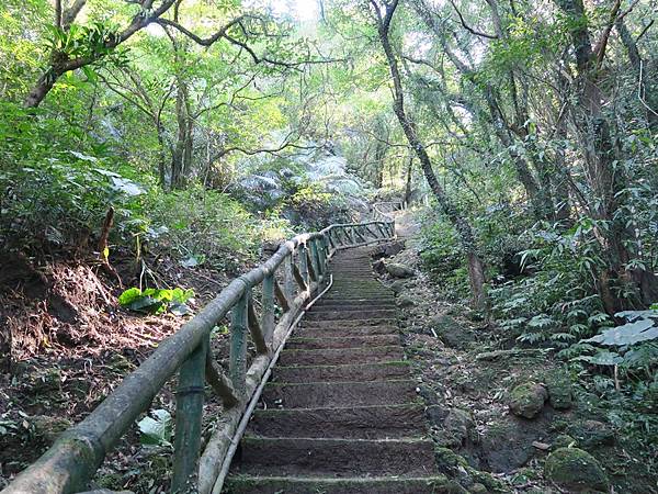 逸仙山步道 (7).JPG