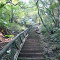 逸仙山步道 (7).JPG