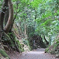 天母古道、紗帽山、草山行館、中山樓 (12).JPG