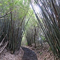 天母古道、紗帽山、草山行館、中山樓 (18).JPG