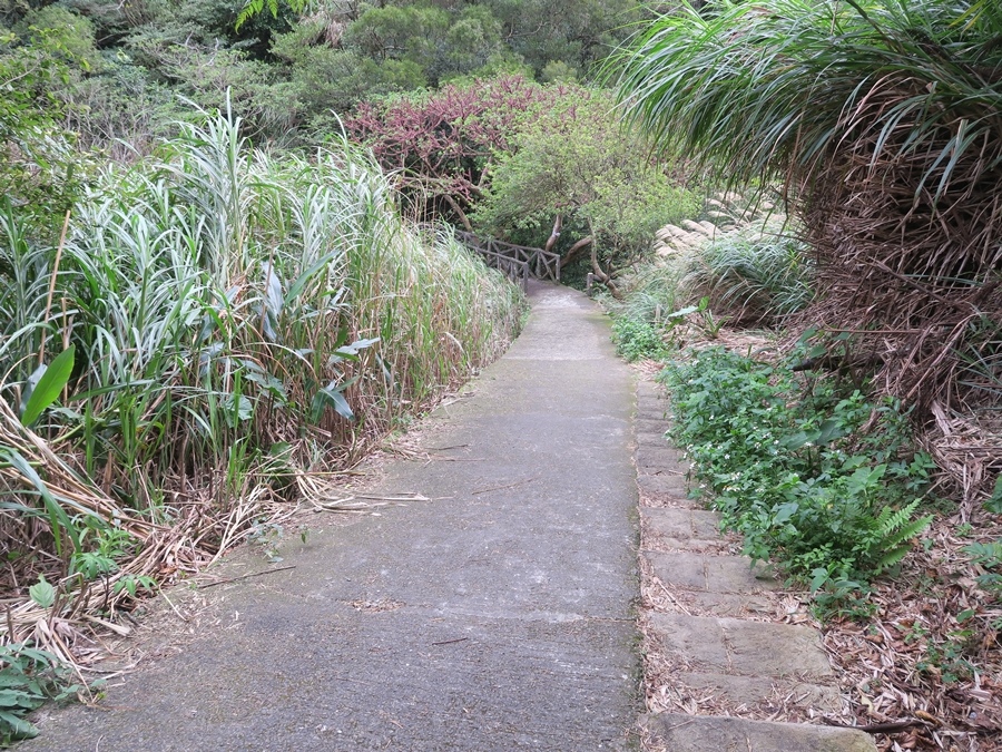 天母古道、紗帽山、草山行館、中山樓 (23).JPG