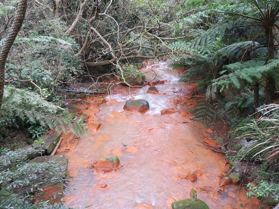 天母古道、紗帽山、草山行館、中山樓 (25).JPG