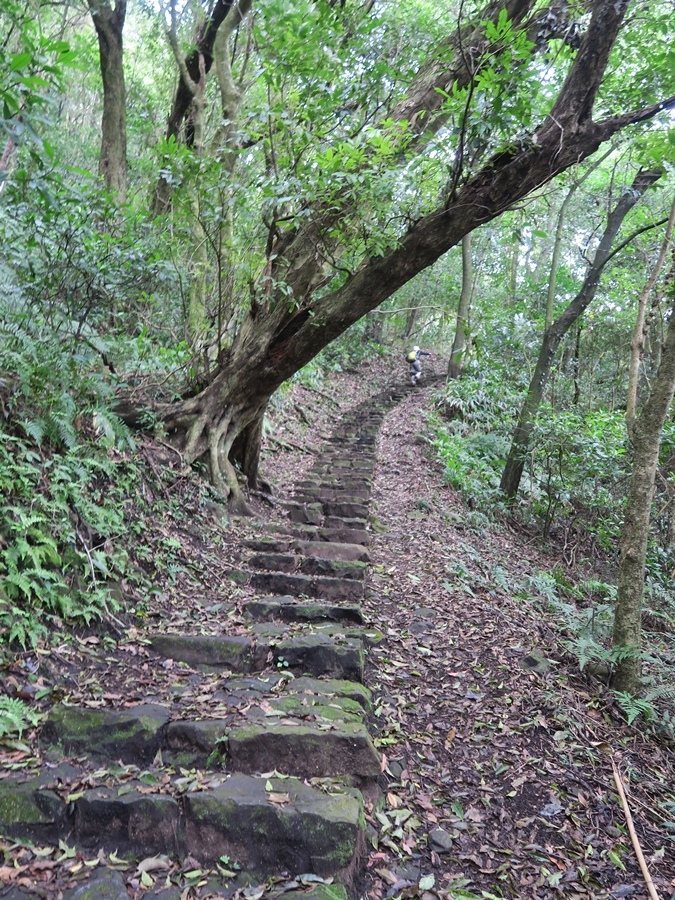 天母古道、紗帽山、草山行館、中山樓 (39).JPG