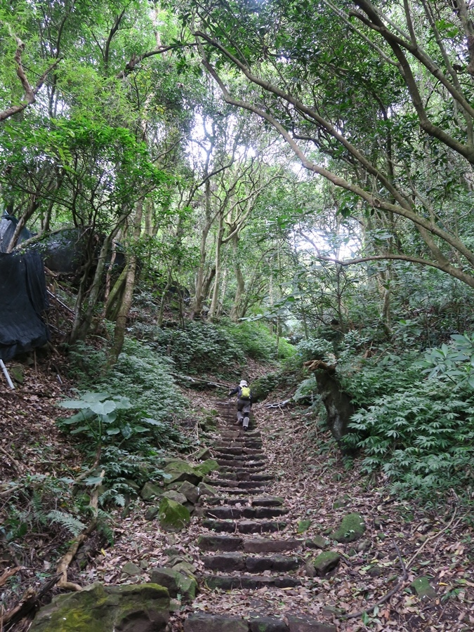 天母古道、紗帽山、草山行館、中山樓 (38).JPG