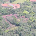 天母古道、紗帽山、草山行館、中山樓 (48).JPG