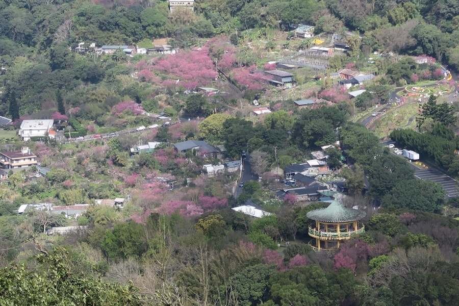 天母古道、紗帽山、草山行館、中山樓 (51).JPG