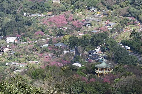 天母古道、紗帽山、草山行館、中山樓 (51).JPG