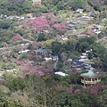 天母古道、紗帽山、草山行館、中山樓 (51).JPG