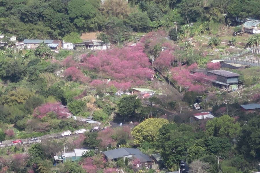 天母古道、紗帽山、草山行館、中山樓 (52).JPG