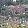 天母古道、紗帽山、草山行館、中山樓 (53).JPG