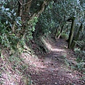 天母古道、紗帽山、草山行館、中山樓 (57).JPG