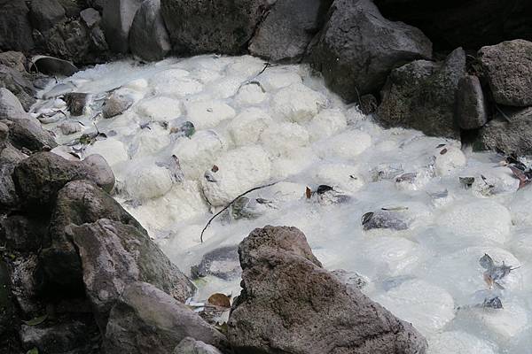 天母古道、紗帽山、草山行館、中山樓 (61).JPG