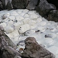 天母古道、紗帽山、草山行館、中山樓 (61).JPG