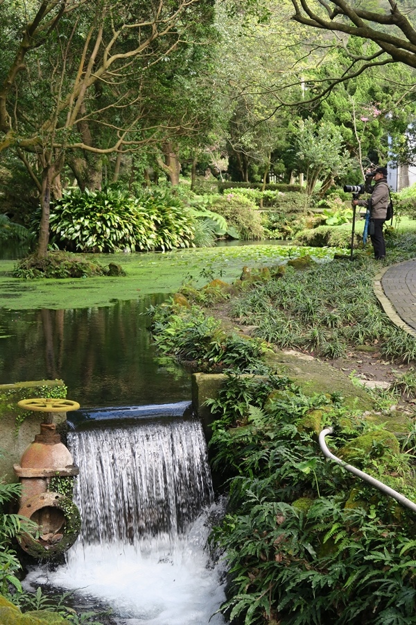 天母古道、紗帽山、草山行館、中山樓 (64).JPG