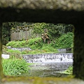 天母古道、紗帽山、草山行館、中山樓 (72).JPG