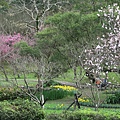 天母古道、紗帽山、草山行館、中山樓 (106).JPG