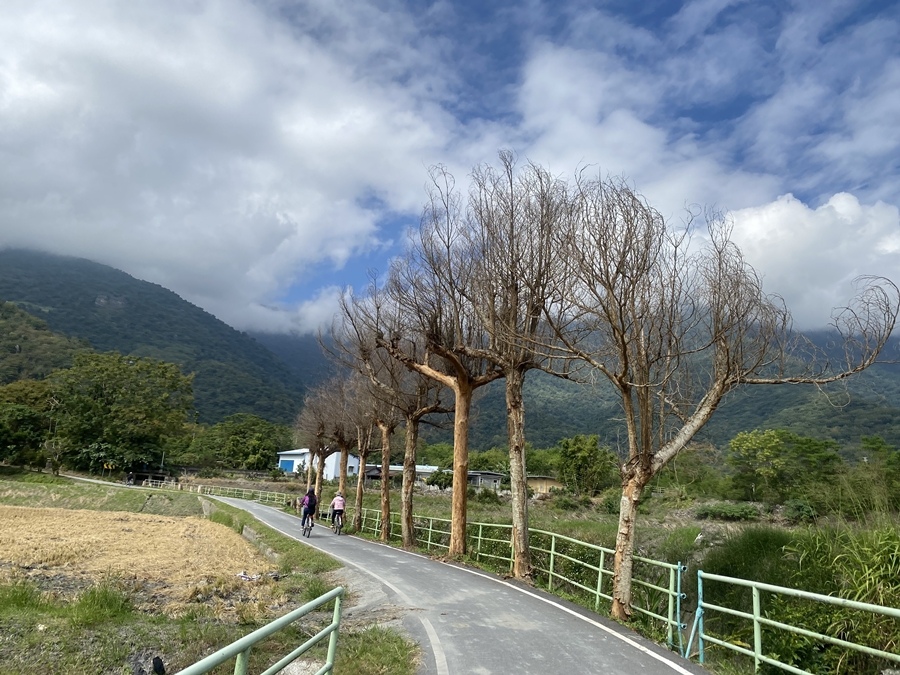 【花蓮】穀稻秋聲－2021 富里山谷草地音樂節、關山自行車道