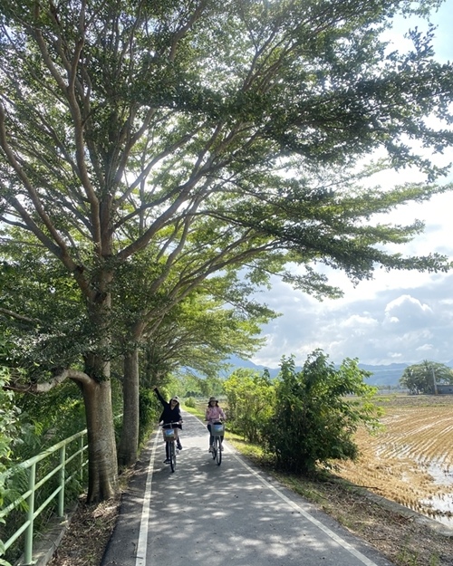 【花蓮】穀稻秋聲－2021 富里山谷草地音樂節、關山自行車道