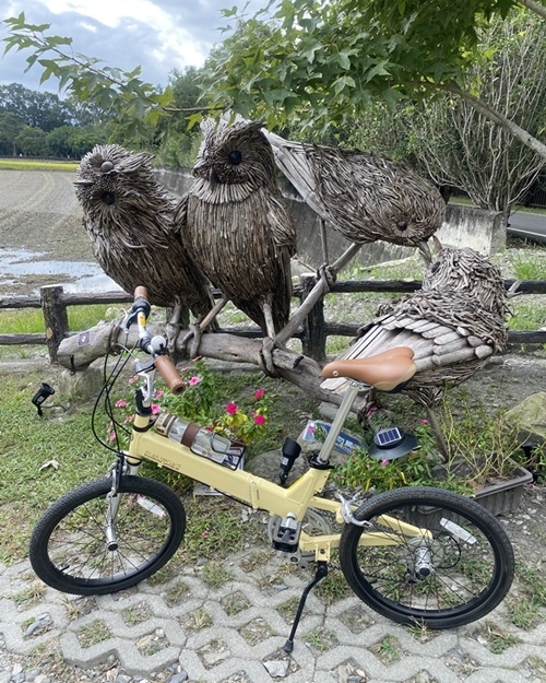 【花蓮】穀稻秋聲－2021 富里山谷草地音樂節、關山自行車道