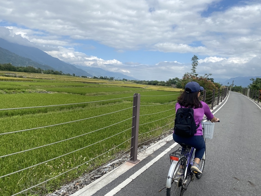 【花蓮】穀稻秋聲－2021 富里山谷草地音樂節、關山自行車道