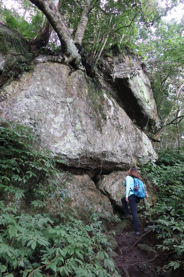 油羅山 (9).JPG