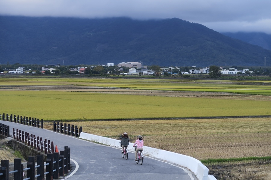 【花東】池上、穀稻秋聲－2022 富里山谷草地音樂節