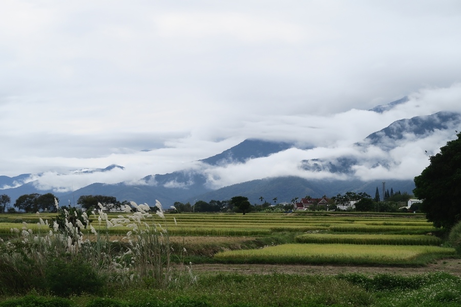 【花東】池上、穀稻秋聲－2022 富里山谷草地音樂節