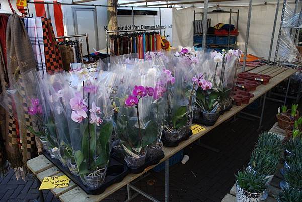 DSC_0657_01.JPG DSC_0657_01.JPG