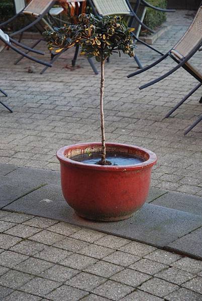 DSC_1160_01.JPG DSC_1160_01.JPG