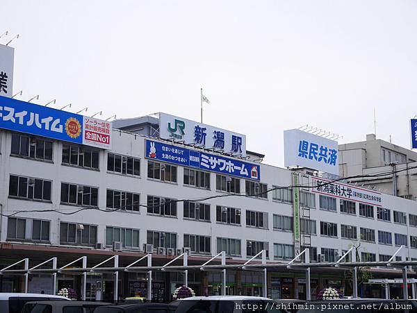 P1010971.JPG P1010971.JPG