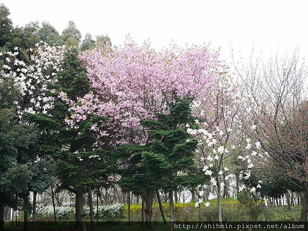 P1010973.JPG P1010973.JPG