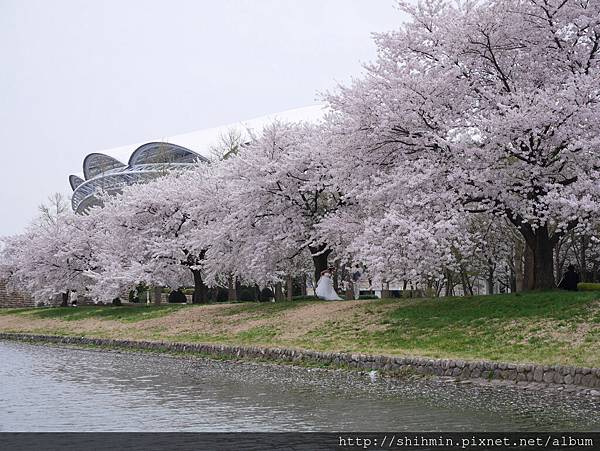 P1010988.JPG P1010988.JPG