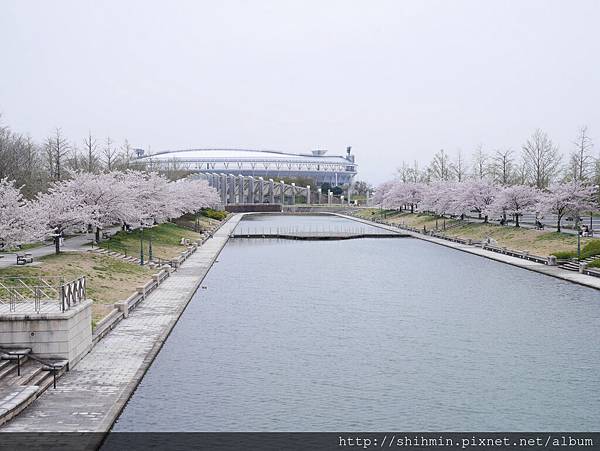 P1010975.JPG P1010975.JPG