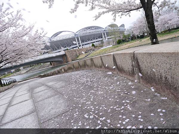 P1010997.JPG P1010997.JPG