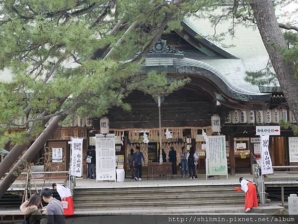 P1020051.JPG P1020051.JPG